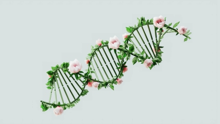 gene sequence with flowers